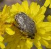 270365 – Photo : Liliane Delattre – France (30)